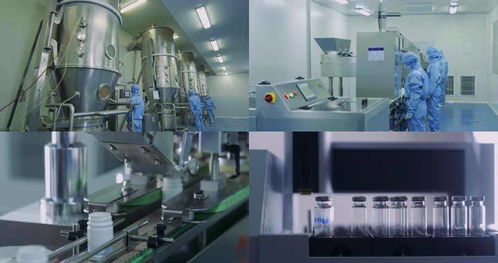 2021年生物試劑產(chǎn)品及技術(shù)服務(wù)市場(chǎng)深度分析 技術(shù)服務(wù)成關(guān)鍵增長引擎